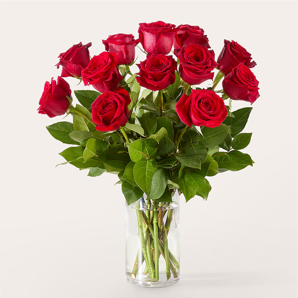 The One Red Rose Bouquet – FELTY-ROLAND FLORIST & PLANT INC, Elizabethton TN