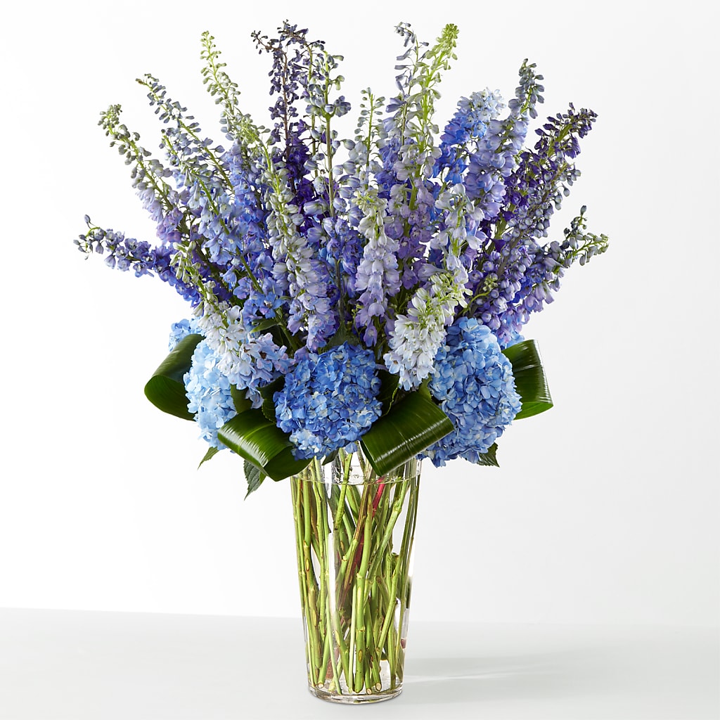 The Editorial – FELTY-ROLAND FLORIST & PLANT INC, Elizabethton TN