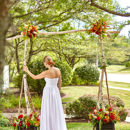 Arbor of Love Archway – FELTY-ROLAND FLORIST & PLANT INC, Elizabethton TN