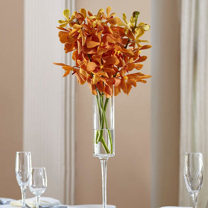 Orange Mokara Bouquet – FELTY-ROLAND FLORIST & PLANT INC, Elizabethton TN