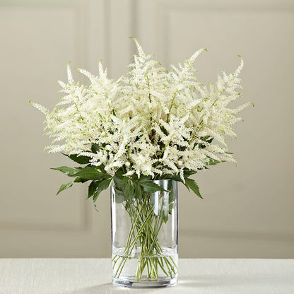 White Astilbe Bouquet – FELTY-ROLAND FLORIST & PLANT INC, Elizabethton TN