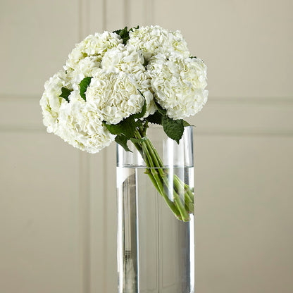 White Hydrangea Hand-Tied Bouquet – FELTY-ROLAND FLORIST & PLANT INC, Elizabethton TN