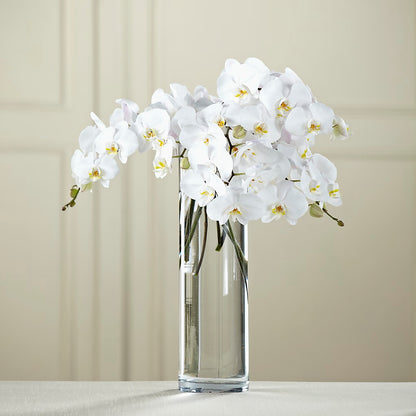 White Phalaenopsis Bouquet – FELTY-ROLAND FLORIST & PLANT INC, Elizabethton TN