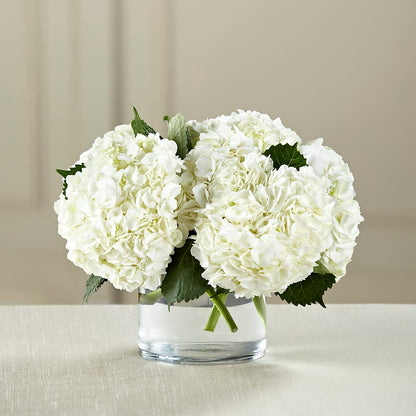 White Hydrangea Bouquet – FELTY-ROLAND FLORIST & PLANT INC, Elizabethton TN
