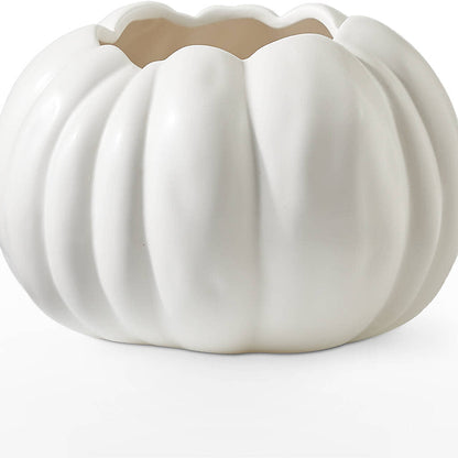 Pumpkin to Talk About Bouquet – FELTY-ROLAND FLORIST & PLANT INC, Elizabethton TN
